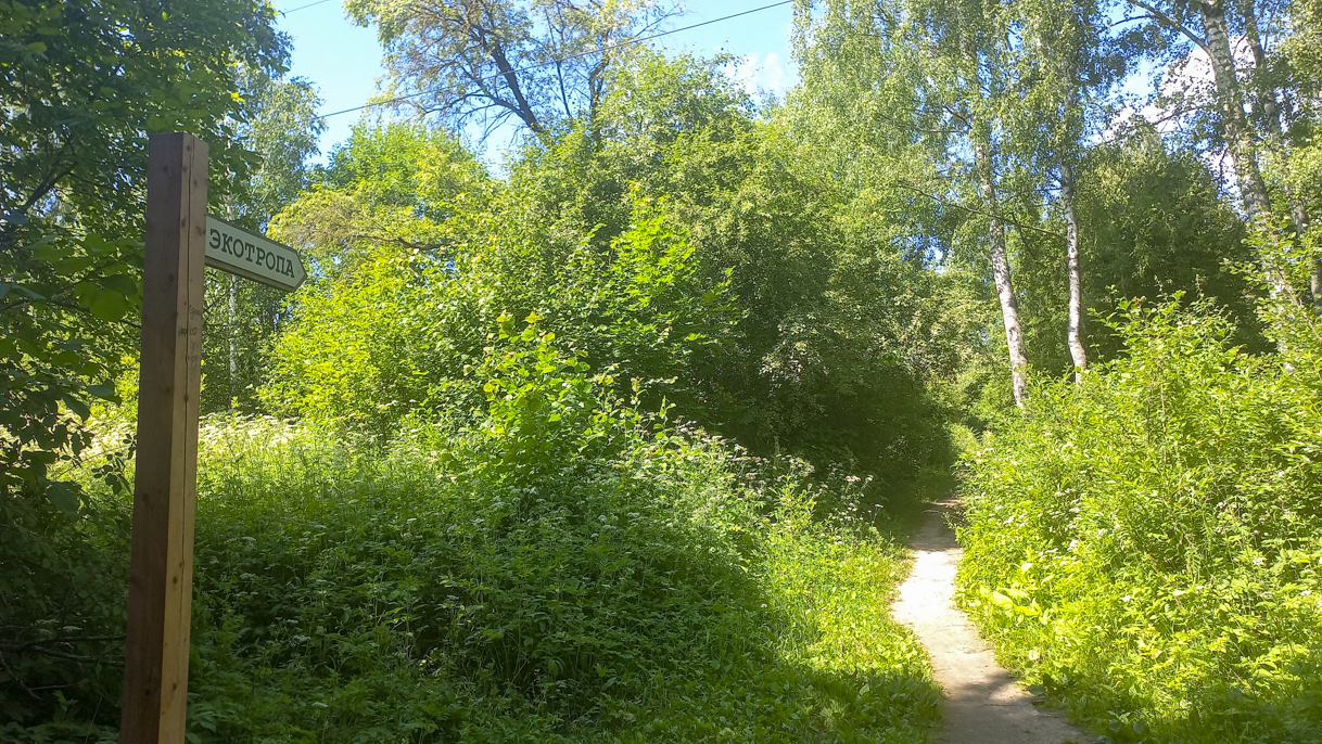 Указатель на экотропе в парке усадьбы Яновских в Калуге