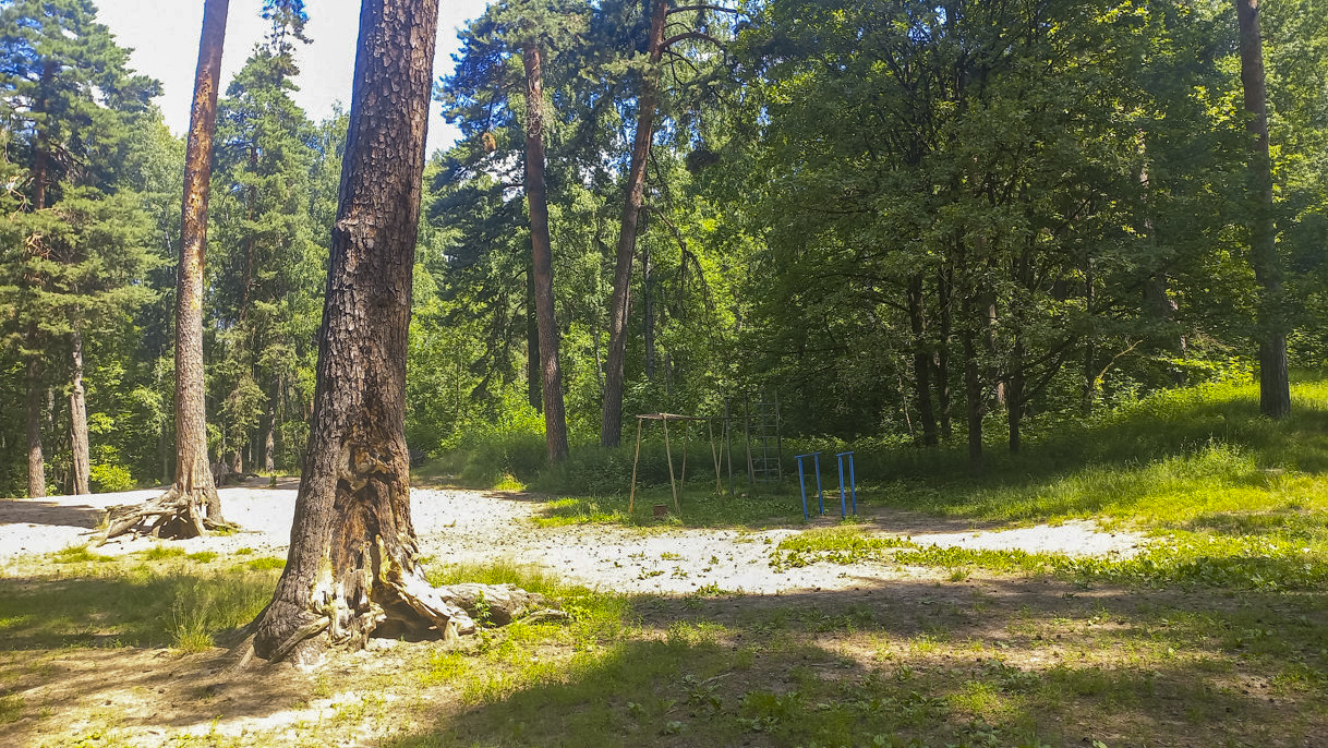 Спортивная площадка в Комсомольской роще в Калуге