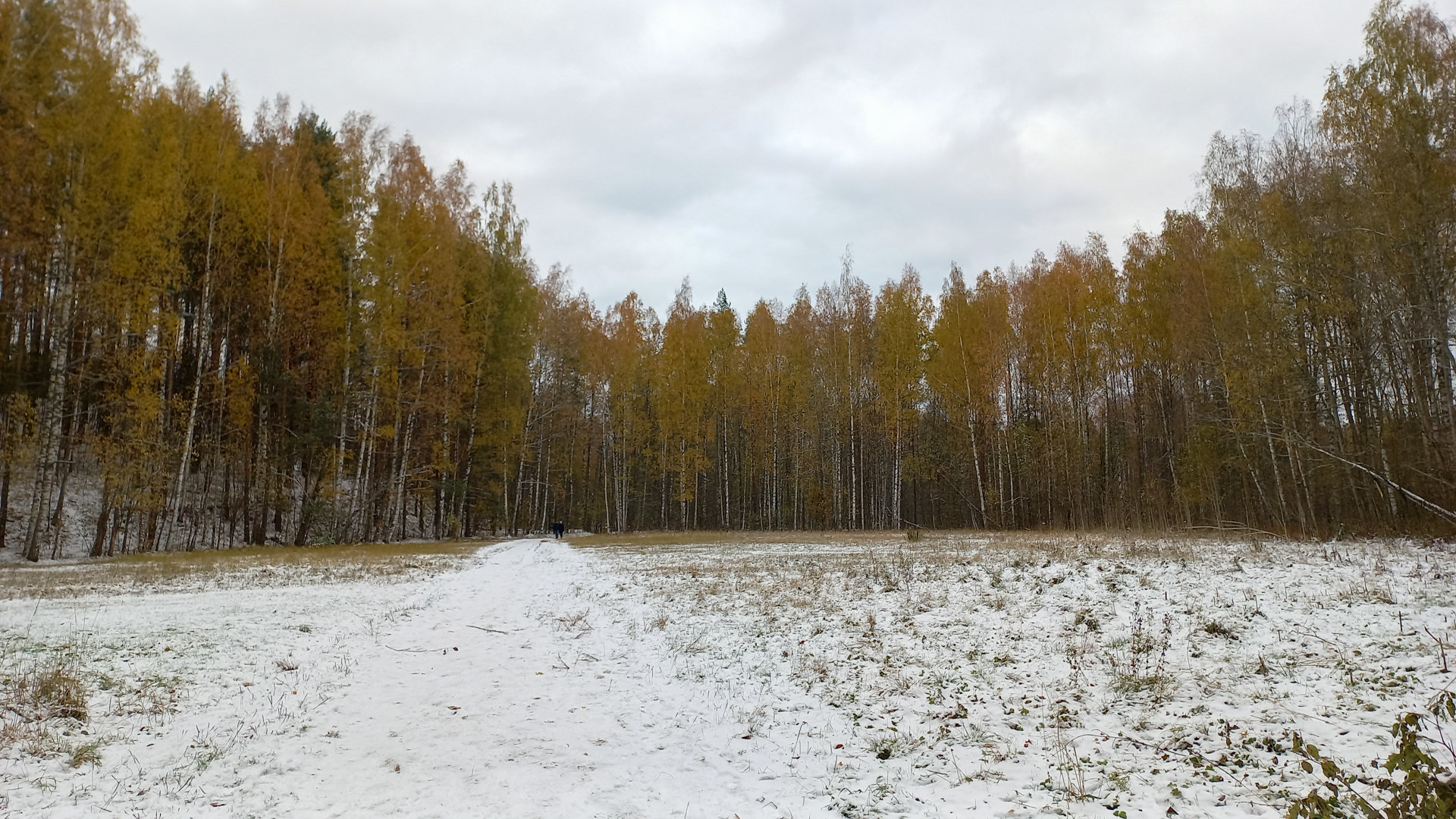 Поляна на Колтушских высотах