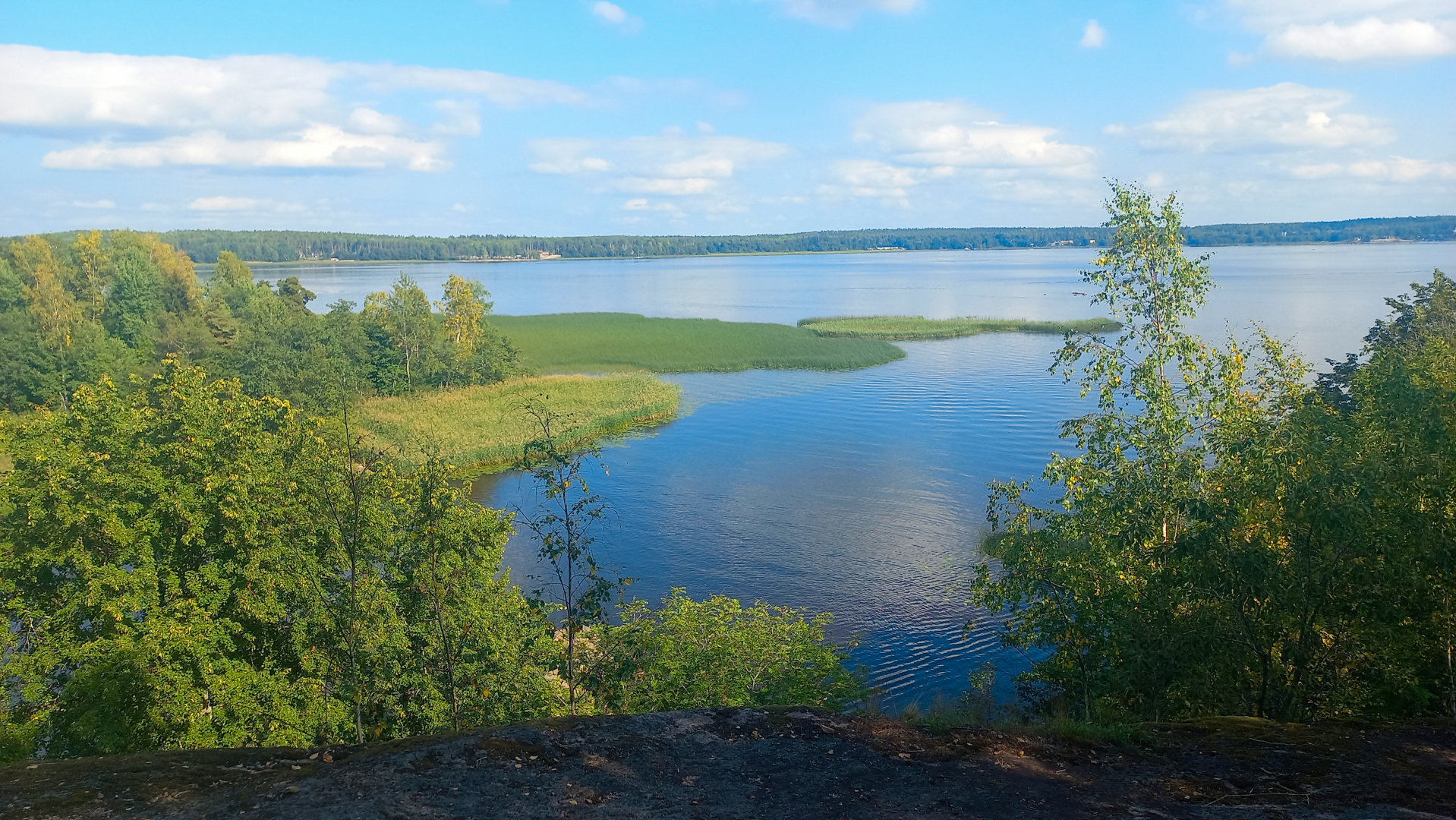 Парк Монрепо - вид