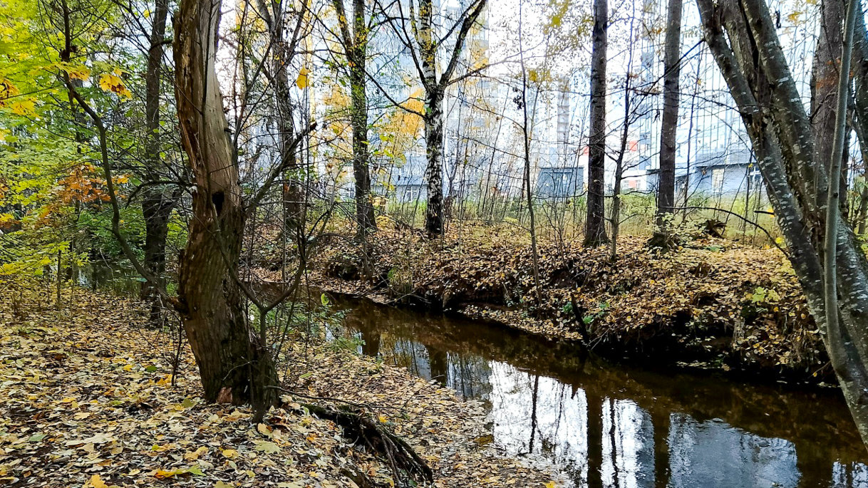 Река Каменка в Питере