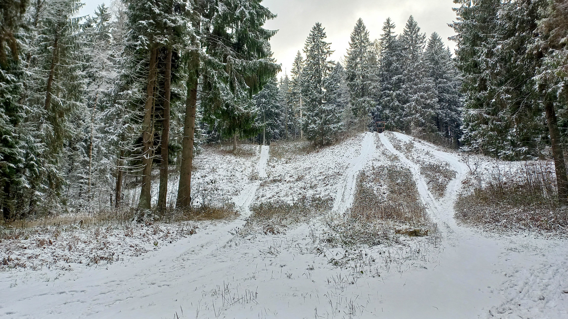 Камы