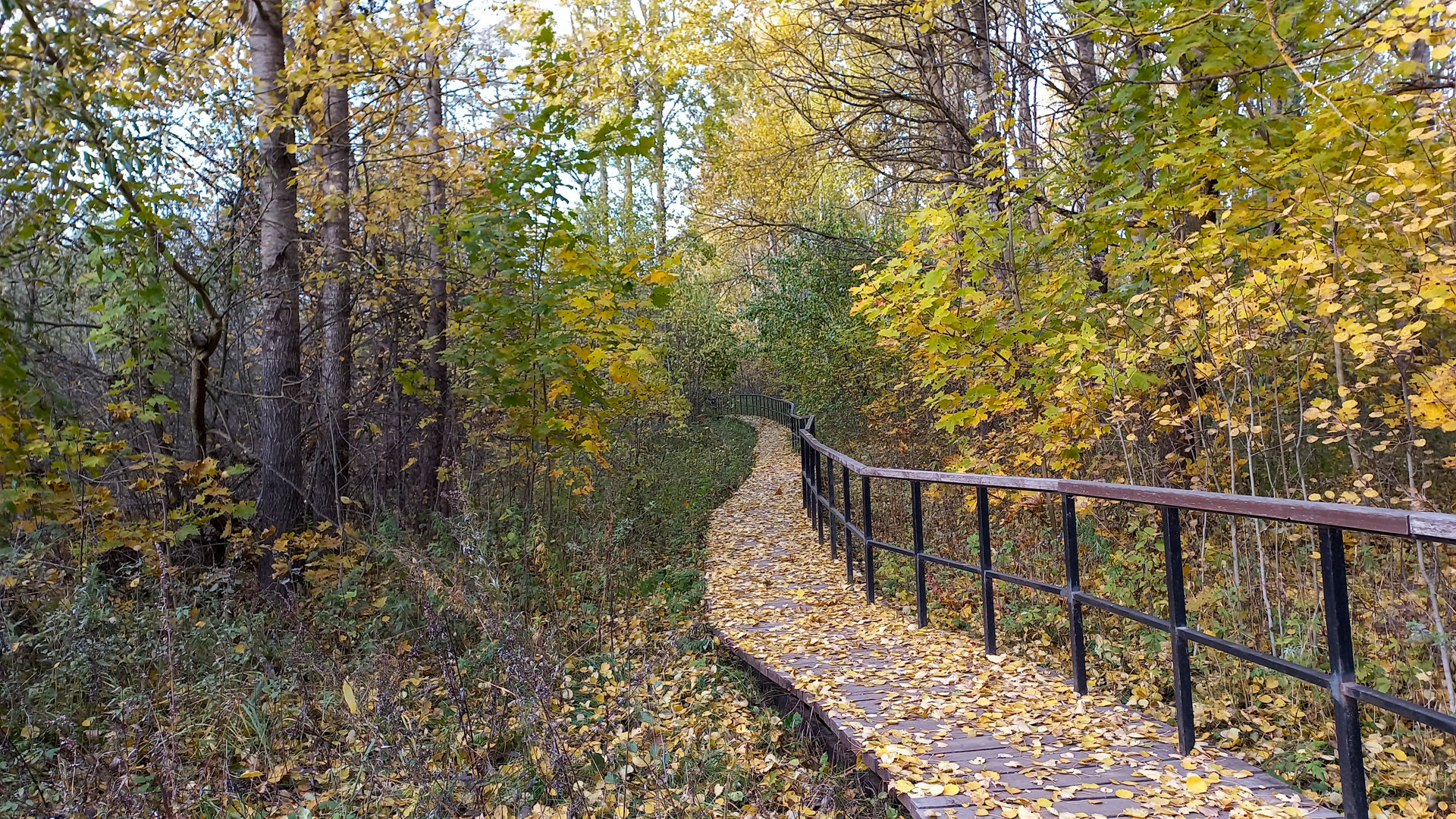 Осенняя экотропа