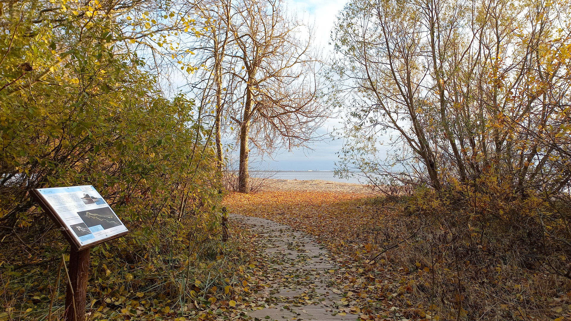 Экологическая тропа, ведущая на пляж