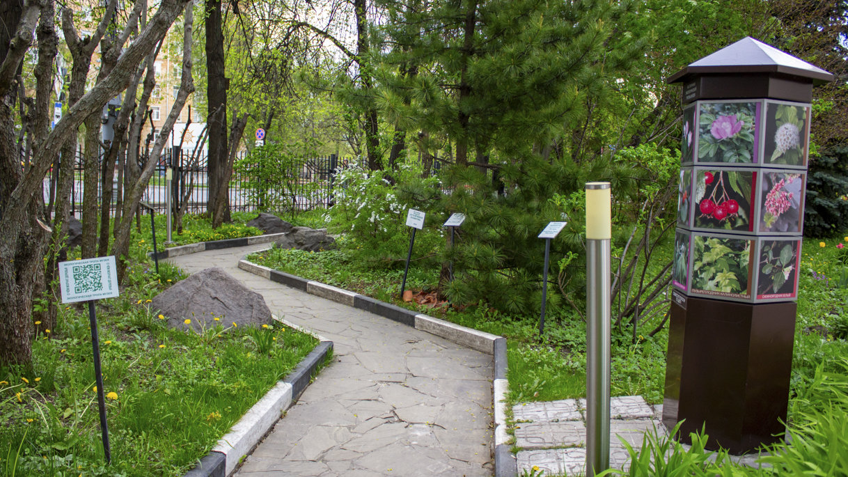 Экотропа у Дарвиновского музея