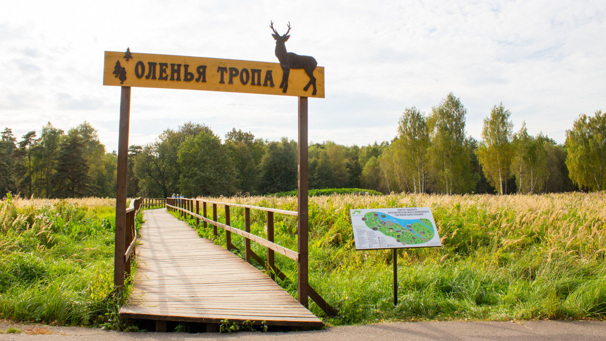 Конец Оленьей экотропы в Лосином острове