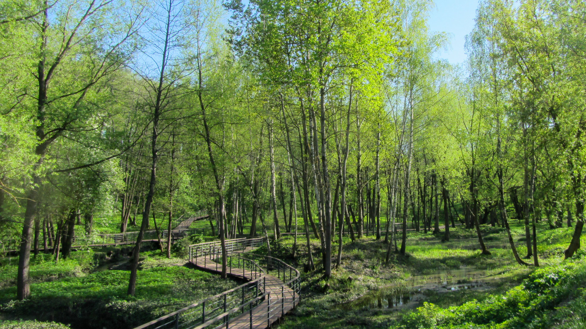 Экотропа в парке Шмелевский ручей (Зябликово)