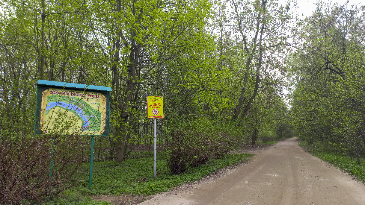 Экотропа в парке Кузьминки