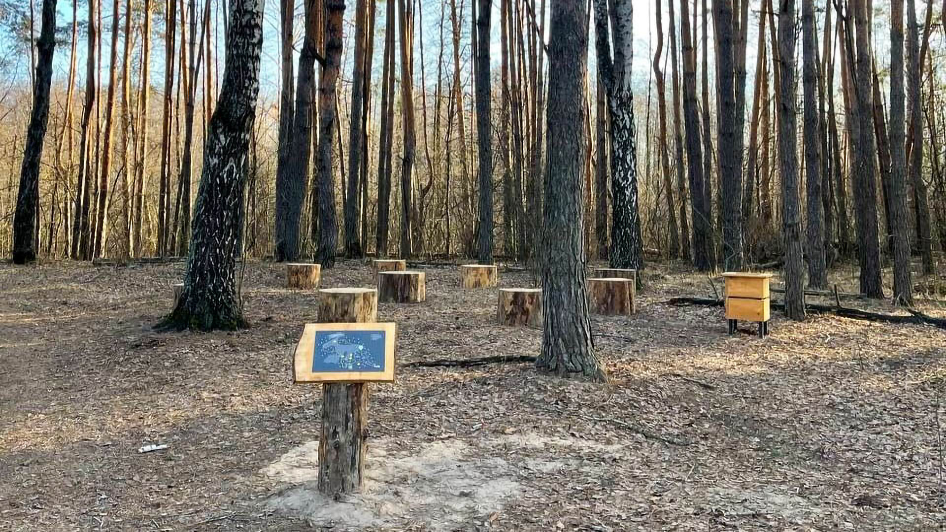 Информационный стенд на экотропе PlesActive